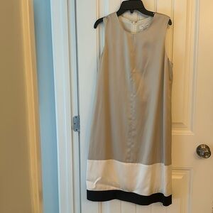 Tag and Bone size 4 sleeveless silky neutral dress